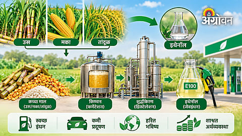 Ethanol production hidden costs
