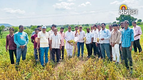 Agricultural damage across 40 lakh hectares