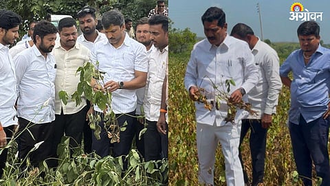 Marathwada Drought