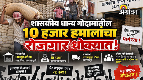 direct transport policy threatens hamal jobs in Maharashtra