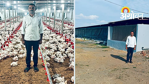 Poultry Farm Management