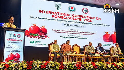 Sustainable pomegranate production amid climate change