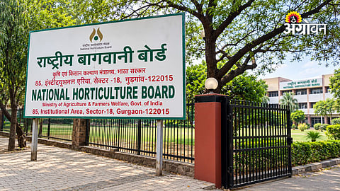 NHB subsidy applications suspended for one month