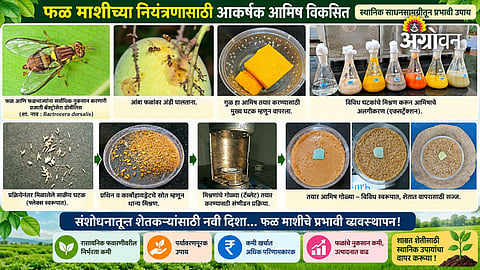 Sterile insect technology for fruit crops