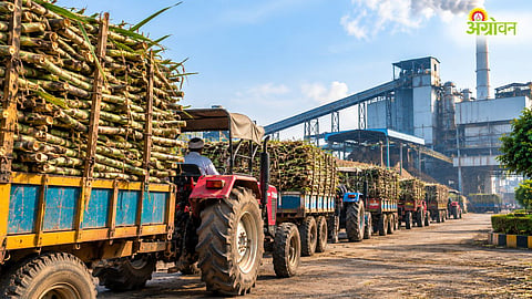 Sugarcane Crushing Season, Sugar Recovery Rate