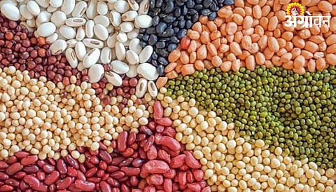 India Protein Demand