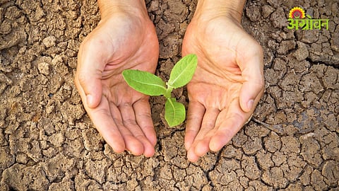 Drought Relief Project