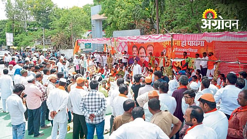UBT Shiv Sena Launches Protest In Dharashiv