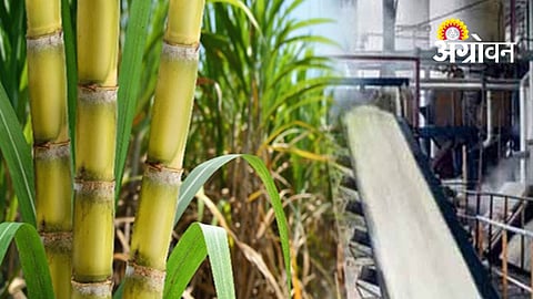 Kranti Sugar Factory Begins 2026-27 Crushing Season