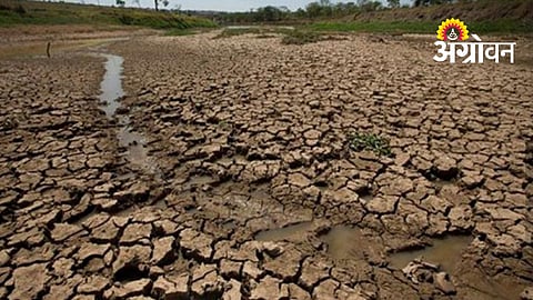 Severe Rainfall Deficit Raises Drought Concerns In Akola