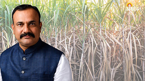 Sugarcane FRP