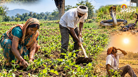 Farmer Accident Scheme