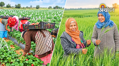 Women Farmers Contribution
