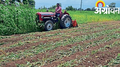 Crop Failure 