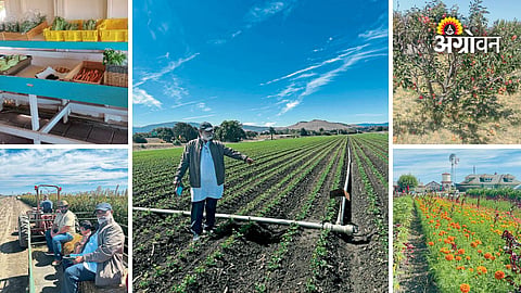 50 hectare farm with organic agriculture in California
