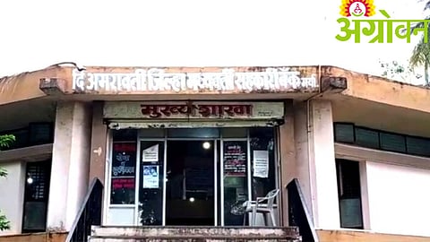 District Co-operative Bank