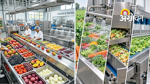 Vegetable Processing: