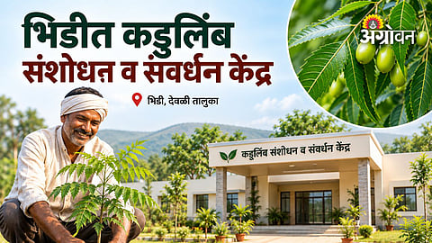 Bhidi neem research centre in Deoli taluka