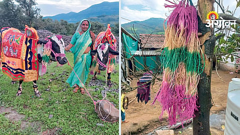 Pola Festival