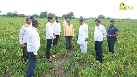 Crop Damage Panchnama