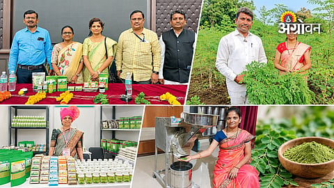 Rural women entrepreneurship through moringa processing