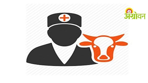 Veterinary Services