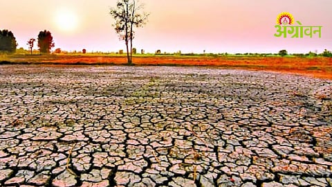 El Nino Conditions Forecast