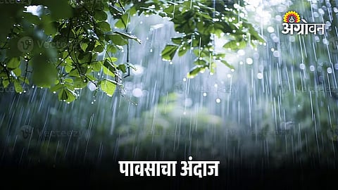 Rain Forecast
