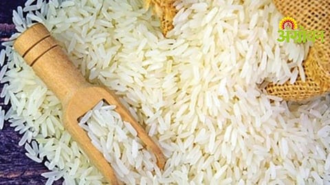 Bangladesh Rice Imports