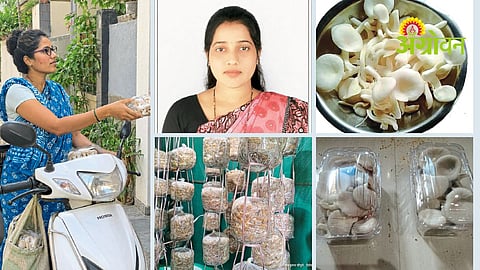 Mushroom Farming Success Story