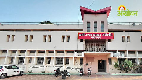 Pandharpur APMC
