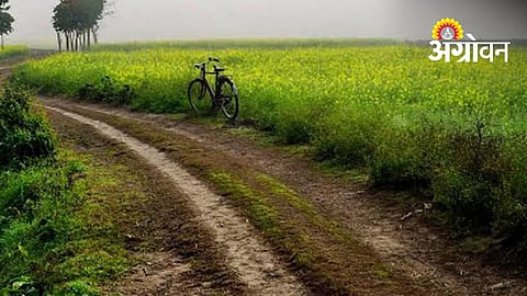 Farm Road Development Gains Momentum Across Sangola