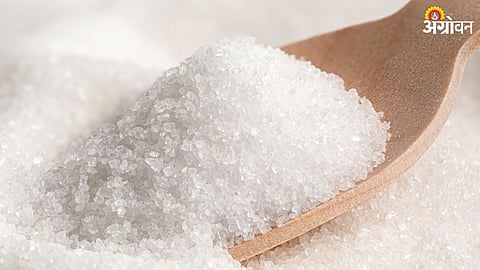 Sugar Price