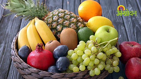 Fruit Farming