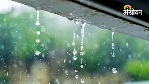 Heavy Rain Recorded In Two Nanded Mandals