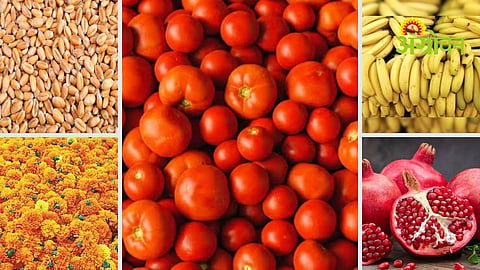 Agrowon Podcast