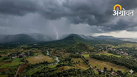 Rain Update