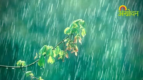Rain Update