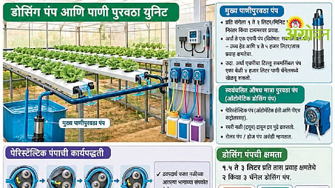 Hydroponic System