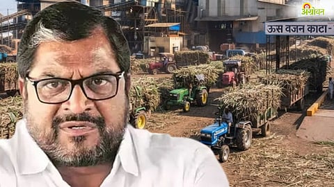 Sugarcane Season 2026