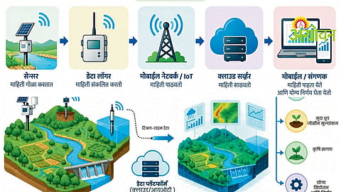 Digital watershed management using sensors