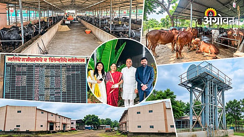 Dairy entrepreneurship in rural Maharashtra
