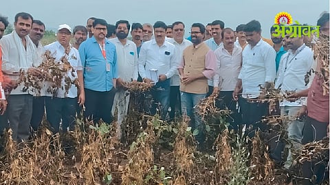 Kharif Crop Damage
