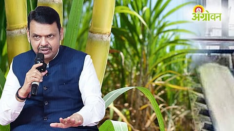 Maharashtra Cabinet Decisions