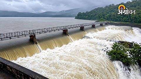 South India dams water storage at 54.52 percent