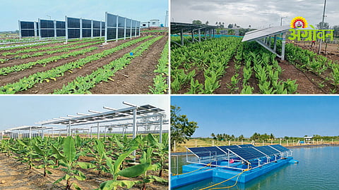 Agrivoltaic Farming