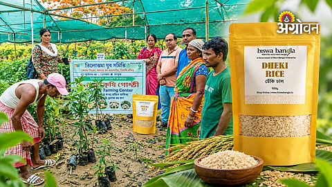 Farmer success story involving food processing and marketing