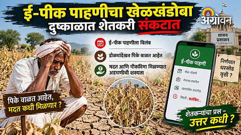 E-Crop survey delay and farmer compensation