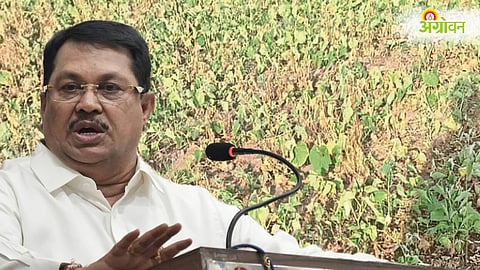 Maharashtra Drought