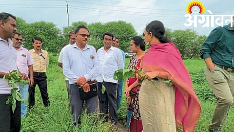 Kanhapur Crop Inspection 